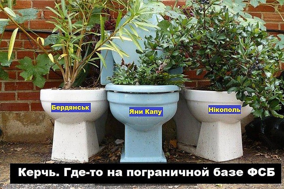 Реакция соцсетей на фразу украинского чиновника.