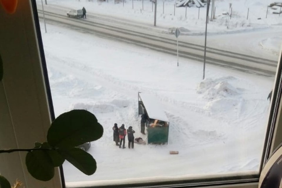Расчлененный труп обнаружили в мусорном баке в кузбасском городе. ФОТО: vk.com, "Шепот улиц. Белово"