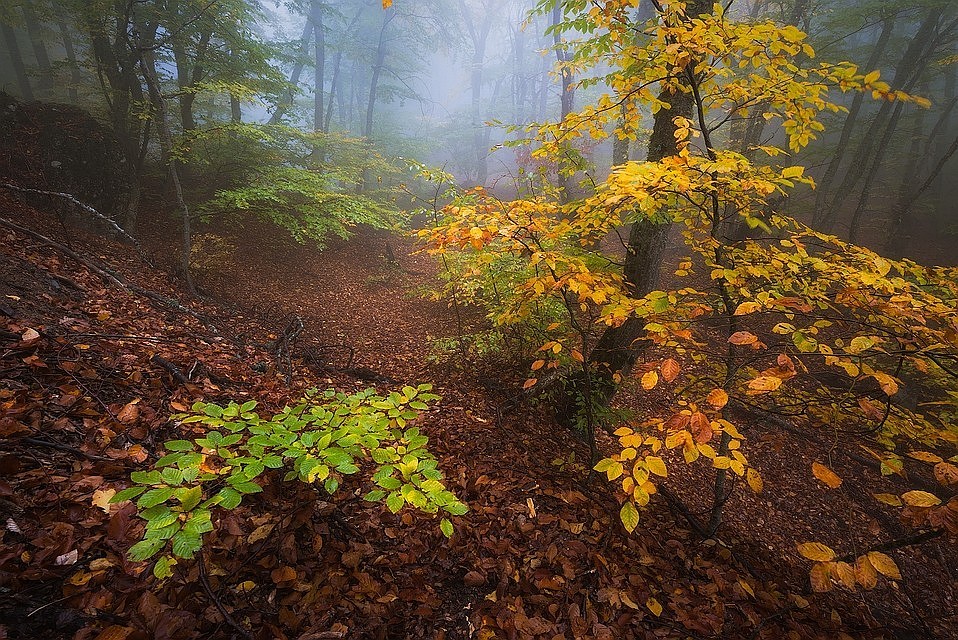 Фото: Вячеслав Лузанов