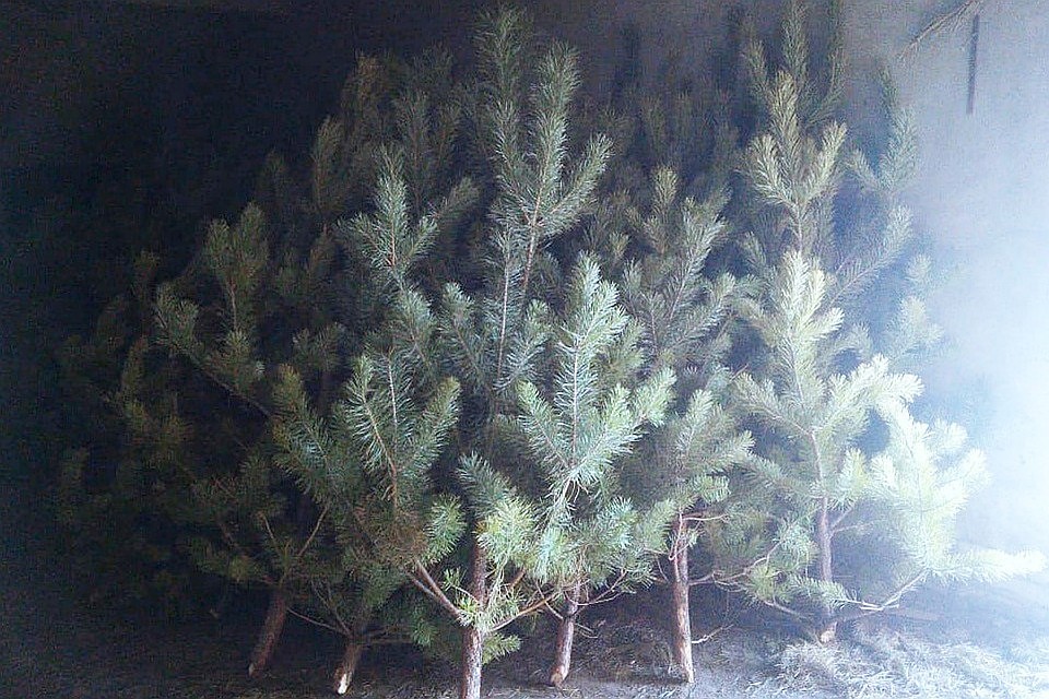 Фото Минприроды Алтайского края