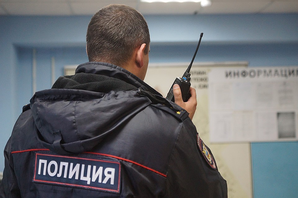 Полицейские раскрыли серию краж
