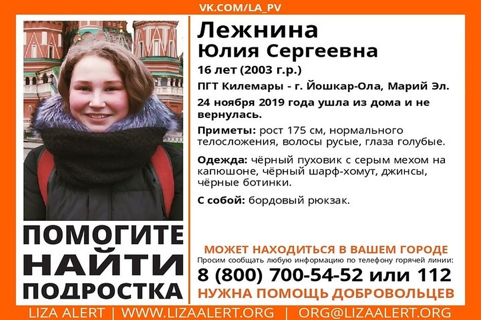 Фото: ПСО "Лиза Алерт"