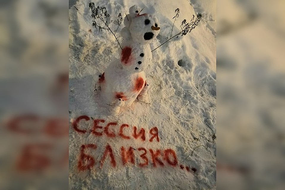 Этот снеговик стоит у общежития №6. Фото: «Признавашки НГТУ»