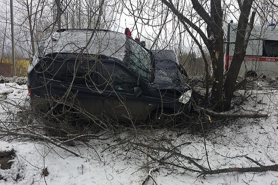 В настоящее время по данному факту проводится проверка. Фото: ГУ МВД по Пермскому краю