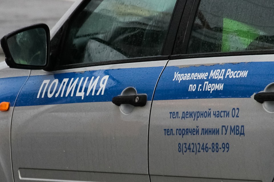 В этом году водитель уже 6 раз привлекался за нарушения ПДД