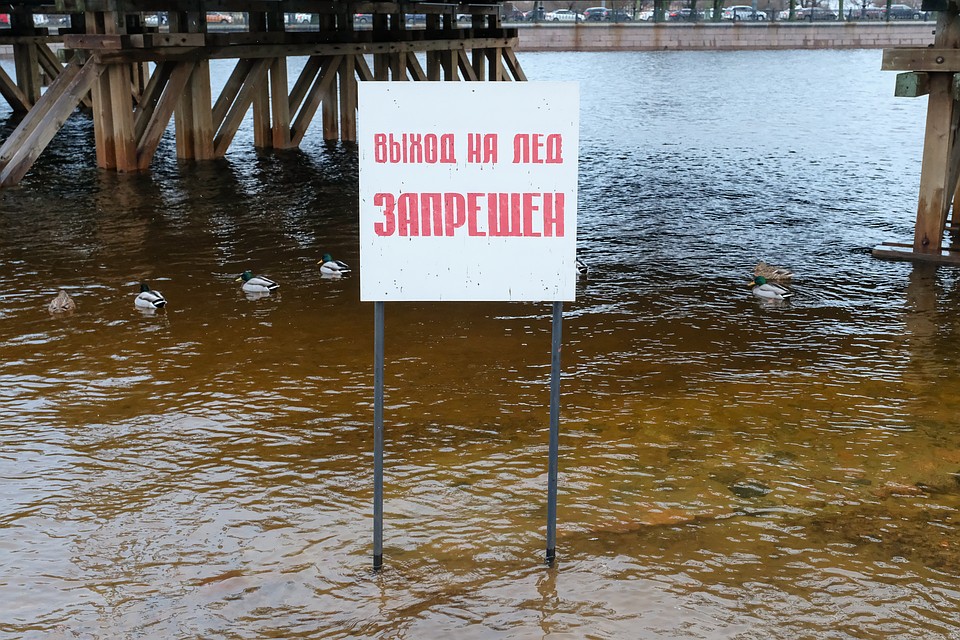 Такую безрадостную картину нам с вами придется наблюдать еще долго.