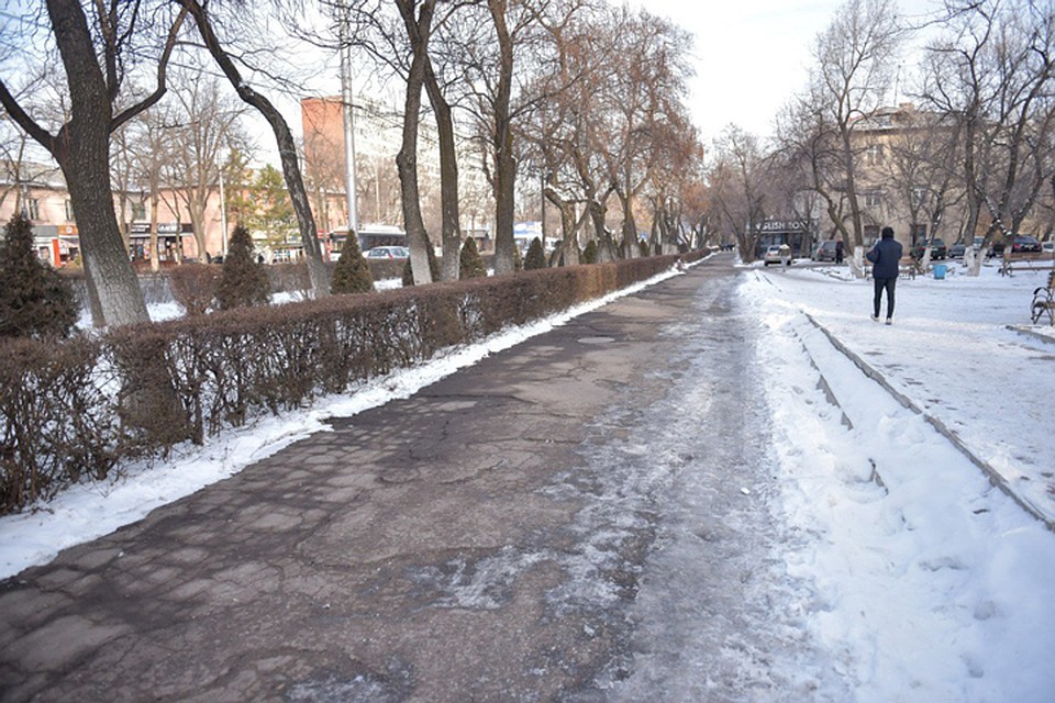 В Бишкеке продолжится строительство велодорожек.