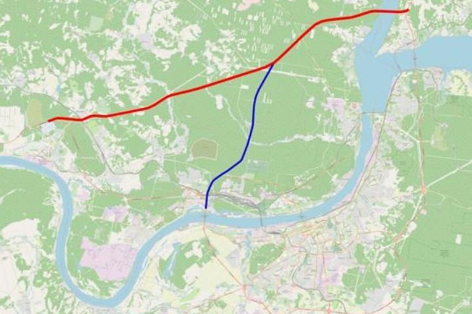 Фото: скриншот опросника.