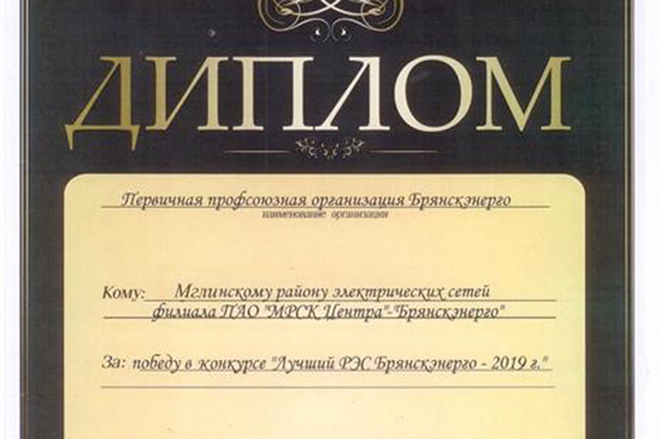 Руководителю Мглинского РЭС Николаю Ивановичу Казеко вручен диплом победителя и специальный приз от ППО Брянскэнерго.
