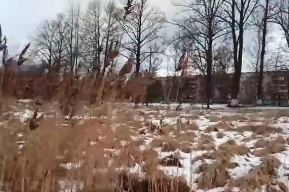 На заболоченном пустыре в Шлиссельбурге две школьницы провалились в ледяную воду. Фото: кадр с видео / vk.com/pavlovo_lo