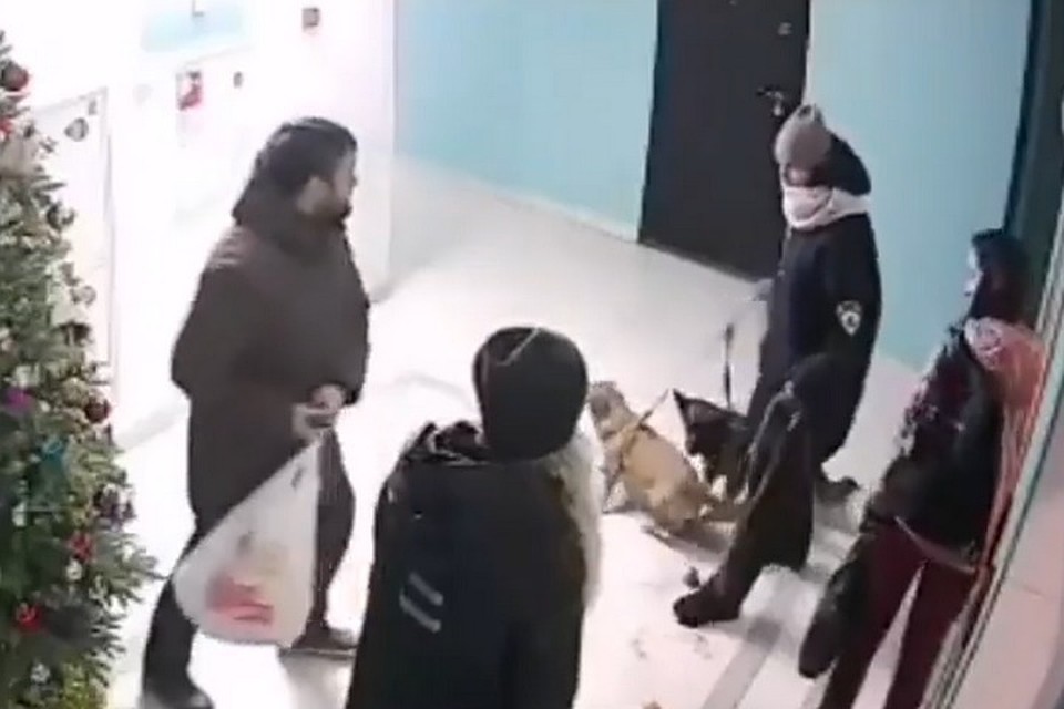 Потасовка в подъезде попала в прицел видеокамеры. Фото: print screen видео