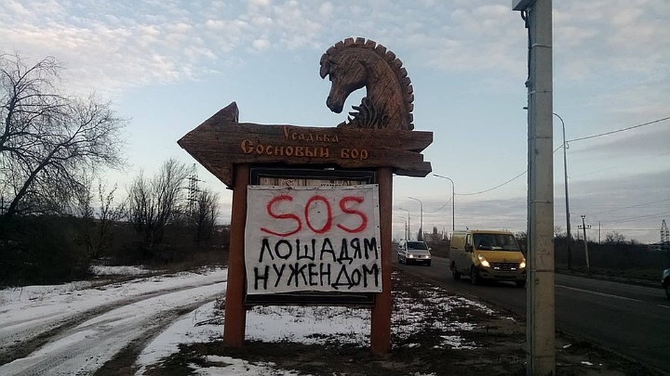 42 лошади могут оказаться на улице.