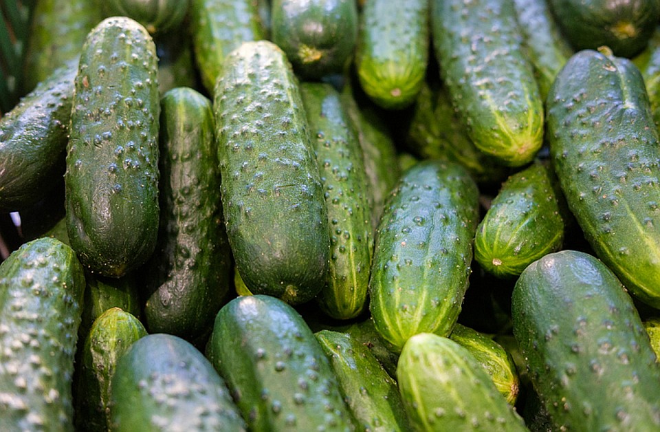 По информации краевого минпромторга, дефицита продуктов нет. Фото: Александр Сафронов (Правительство Приморского края).