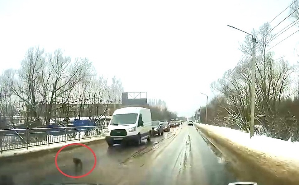 Фото: скриншот с видео автора GURZA QUEST