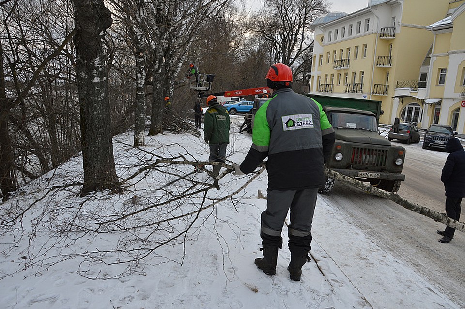 Обрезка деревьев. Подпись: администрация Твери