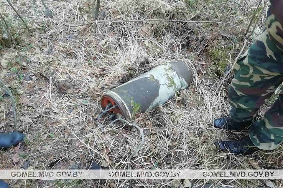 Авиабомба лежала в лесу в 6 километрах от деревни. Фото: УВД Гомельского облисполкома.