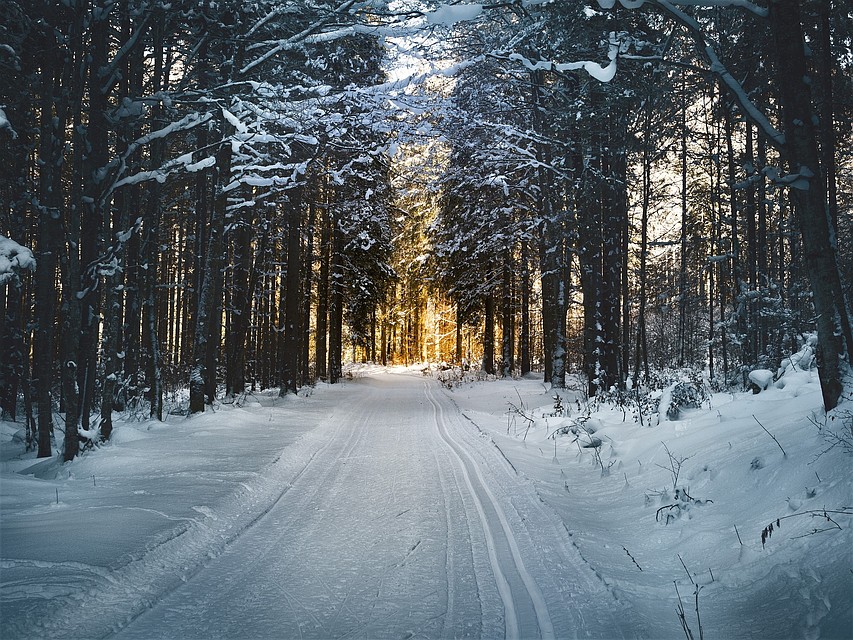 Фото: pixabay.com