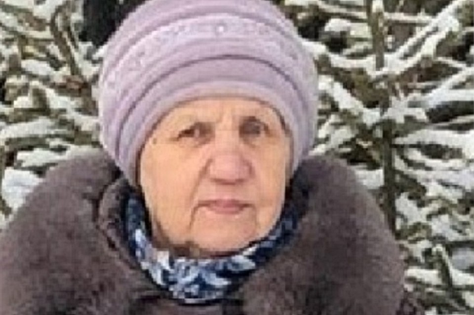 Фото: Лиза Алерт