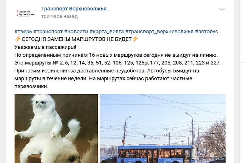 В предполагаемый день реализации второго этапа реформирования транспорта Твери, новые автобусы на улицы не вышли. Фото: скриншот vk.com/transportverhnevoljia