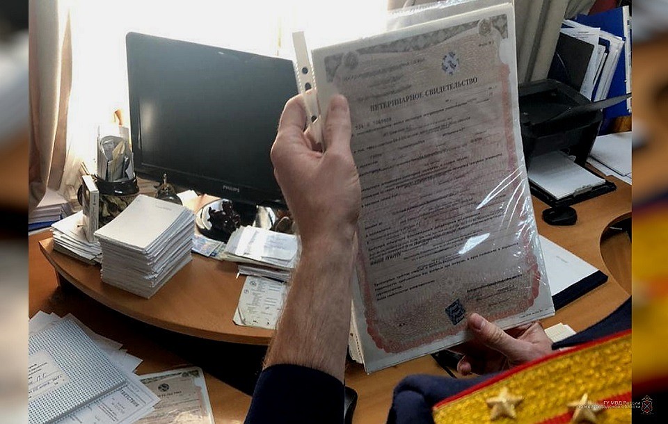 Яйца на прилавки супермаркетов поступали без проверки.