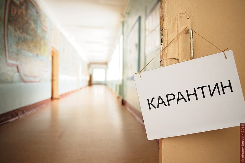 Эксперты рассказали о правильных привычках в разгар карантина