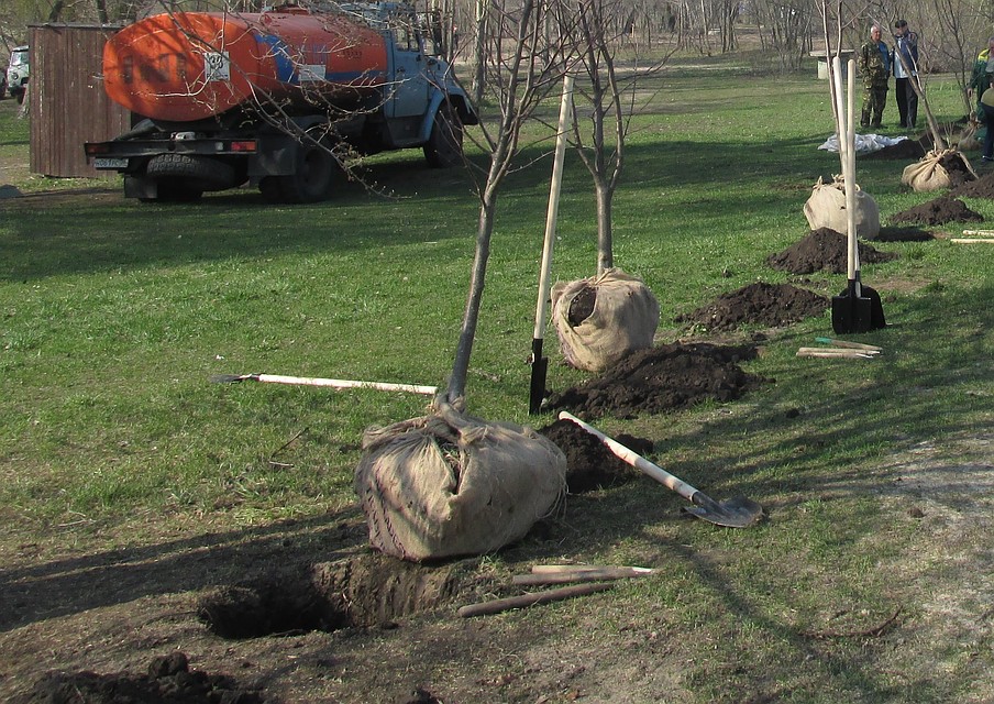 фото Елены Федяшевой