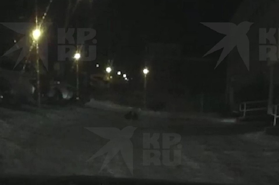 Мужчина сам дополз до такси. Фото: скрин с видео КП