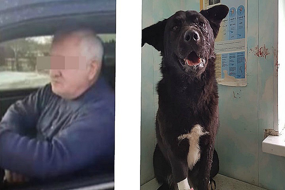 Обо всем рассказали волонтеры