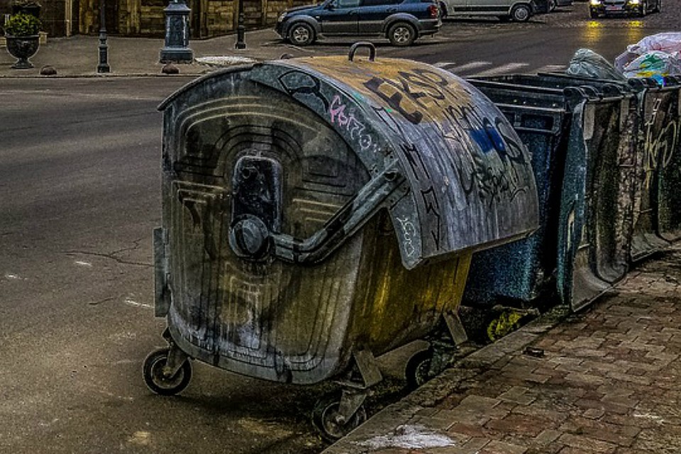 В Ростове ожидается нашествие крыс. Фото: соцсети