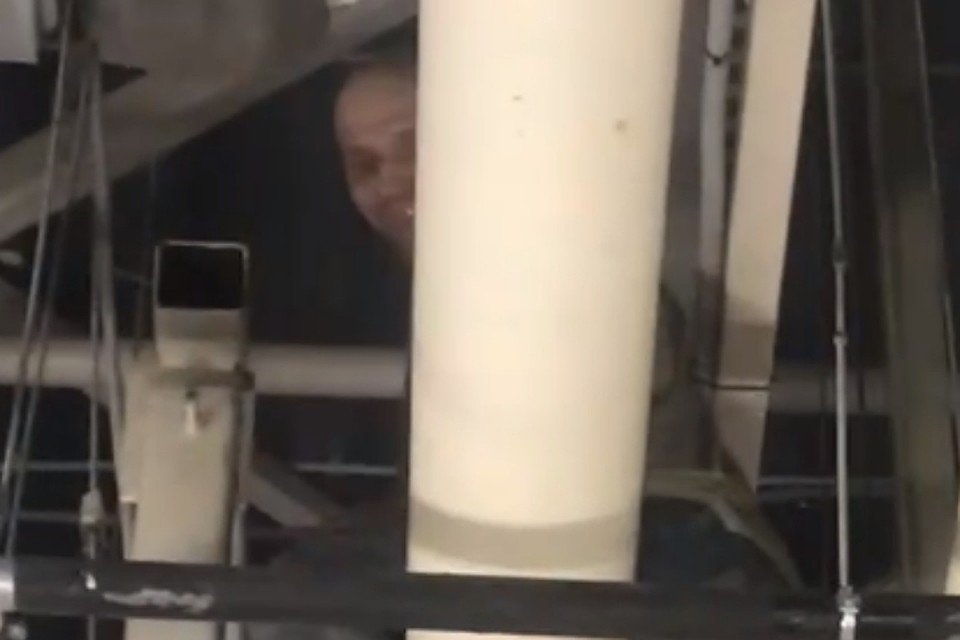 "Человек-паук" из Дыбенко скрывать обворожительную улыбку под маской не стал. Фото: vk.com/kudrovolife