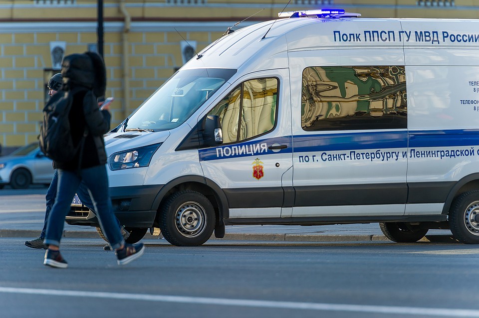 Петербургского библиотека ограбили двое парней, притворившись ремонтниками