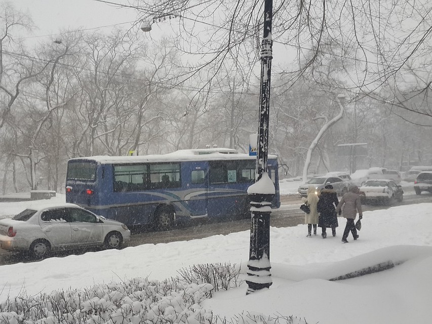 Во Владивостоке ожидается небольшой снег