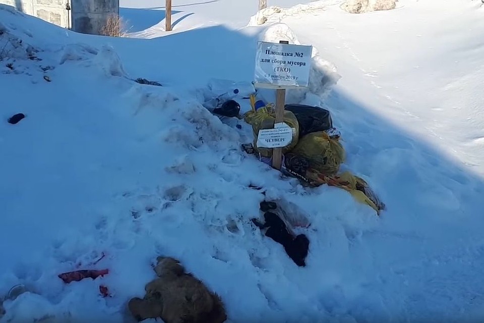 Свалка в Налобихе. Фото: скриншот видео Дениса Старцева на YouTube