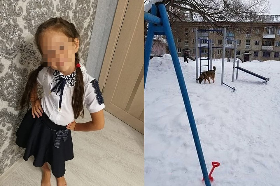 На 7-летнюю девочку напала бродячая собака. Фото: личный архив.