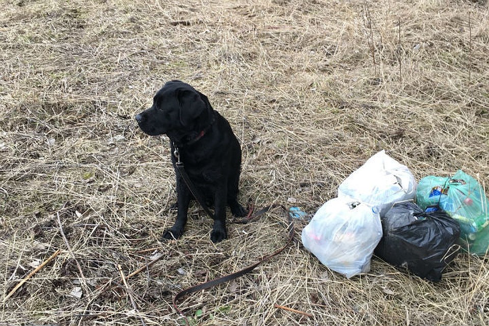 В Нижнем Новгороде стартовал экологический флешмоб. ФОТО: Анна К.