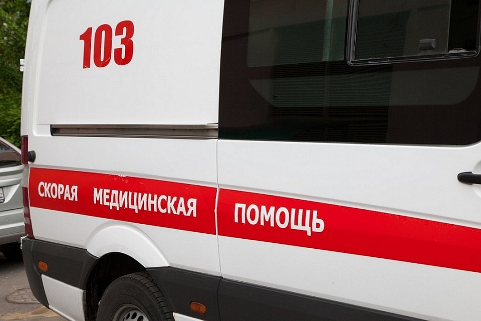 Фото: пресс-служба администрации Краснодарского края
