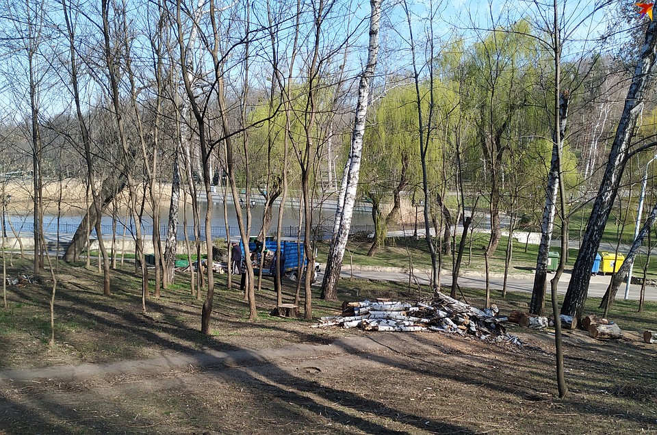 Весна... В парке Валя Морилор началась заготовка дров, несмотря на карантин