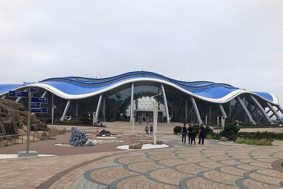 Приморский океанариум закрывается
