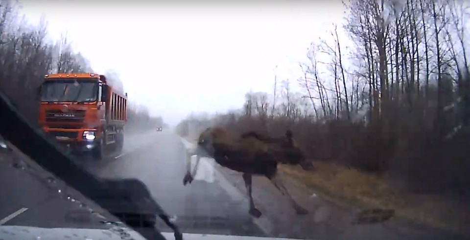 Скриншот из видео в "Жести по-псковски".