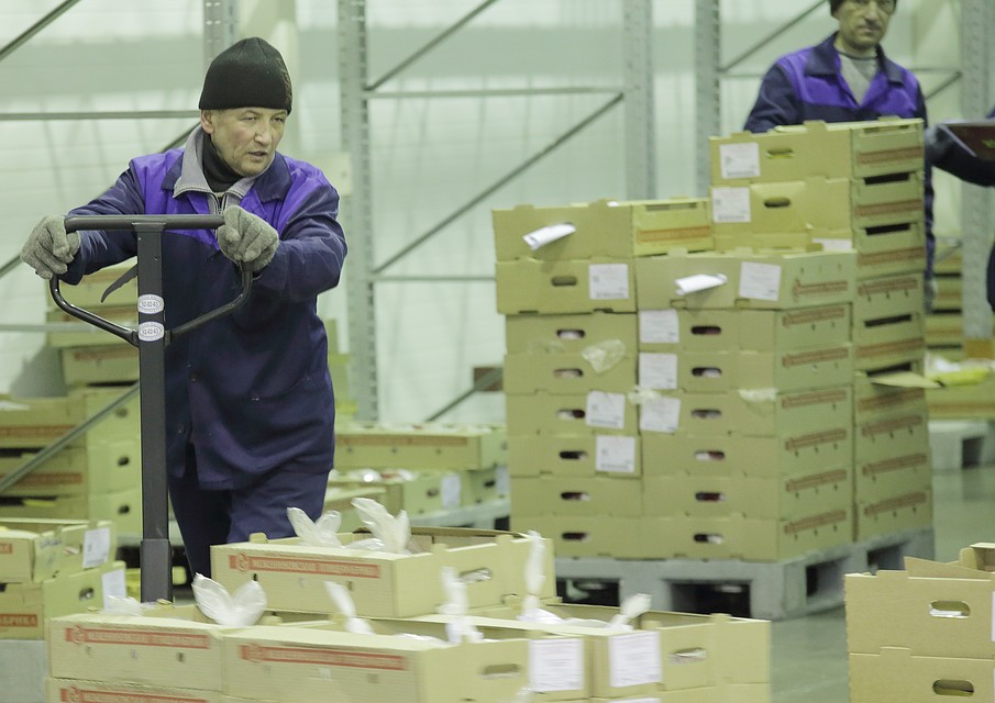 Продуктов хватит на всех