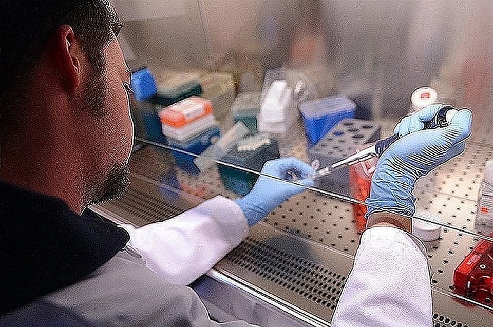В России разрабатывают три вакцины от COVID-19