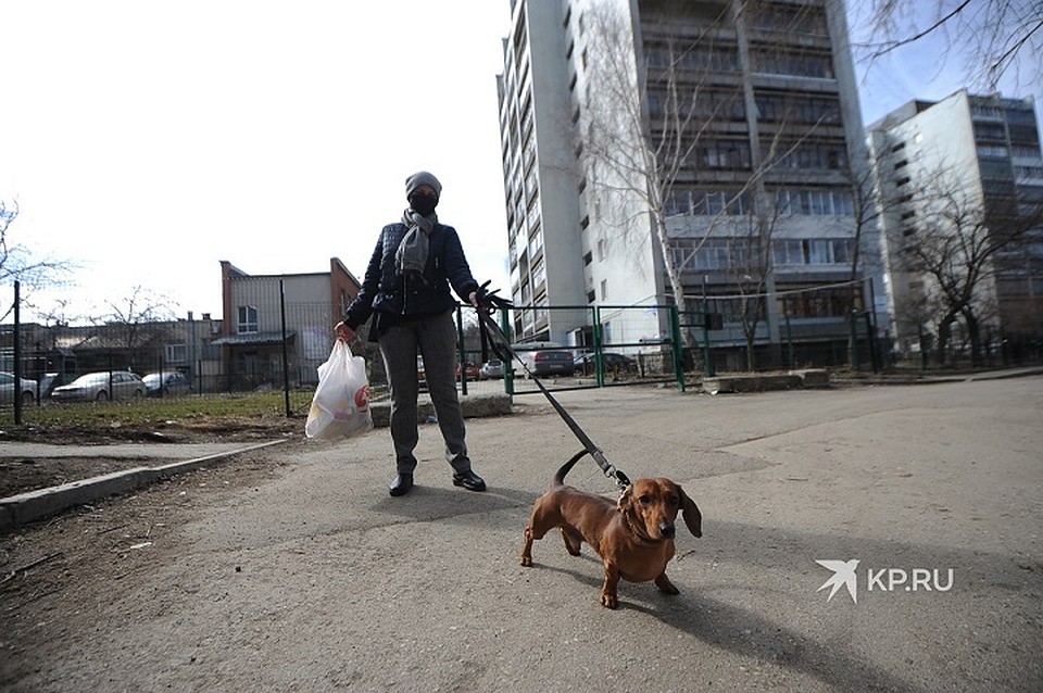 От коронавируса полностью вылечился еще один уралец