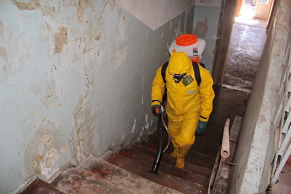 Дезинфицирующее средство можно будет использовать после его регистрации. Фото: dnmchs.ru