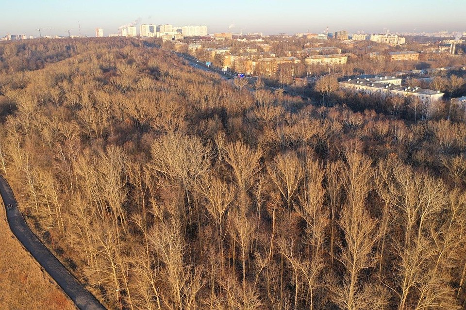 В Нижнем Новгороде ищут подрядчика для благоустройства парка «Швейцария».
