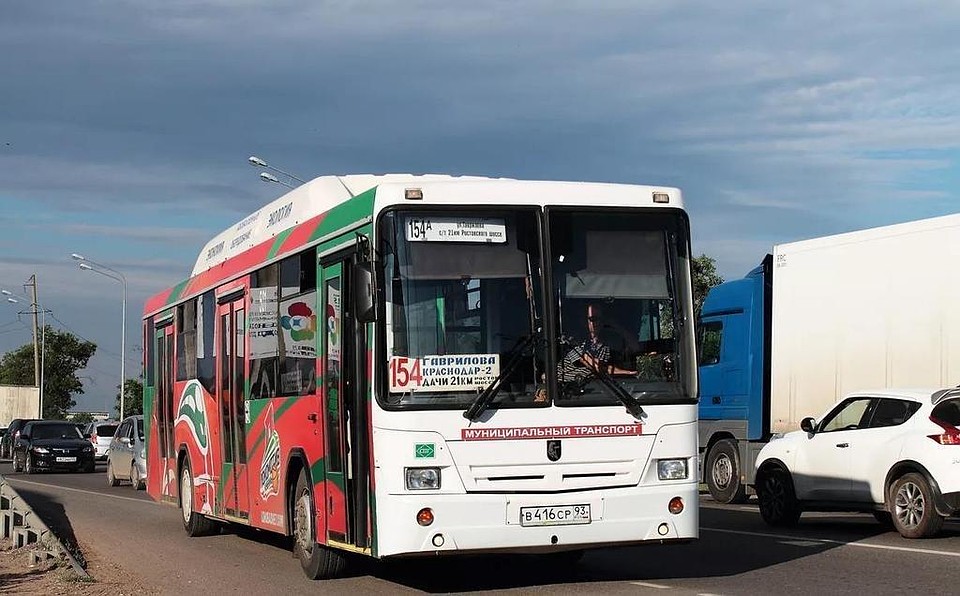 Автобусы вернутся к докарантинному графику. Фото: krd.ru