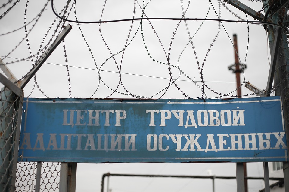 Высшее образование можно получить и в колонии.