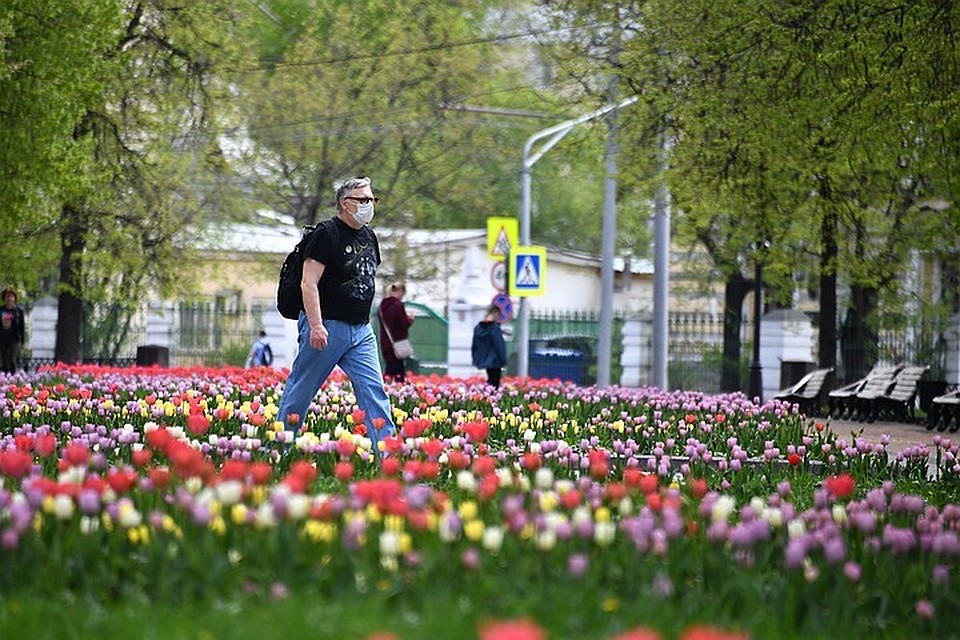 Число инфицированных коронавирусом в Москве за сутки возросло на 2516 человек