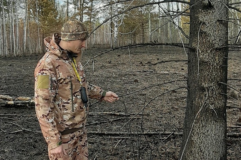 В Красноярском крае в штат лесоохраны набирают 100 человек. Фото: пресс-служба правительства края