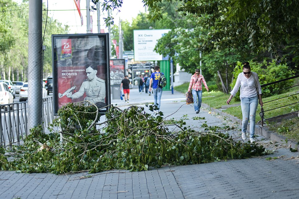 Ураган доставил много неприятностей новосибирсцам.