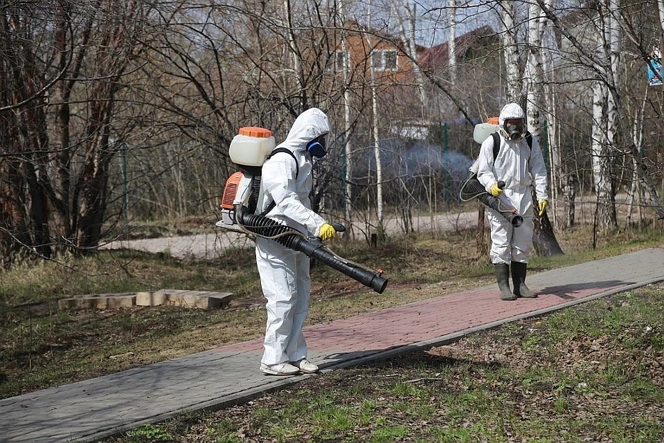 Клещи в Самарской области - привычные гости